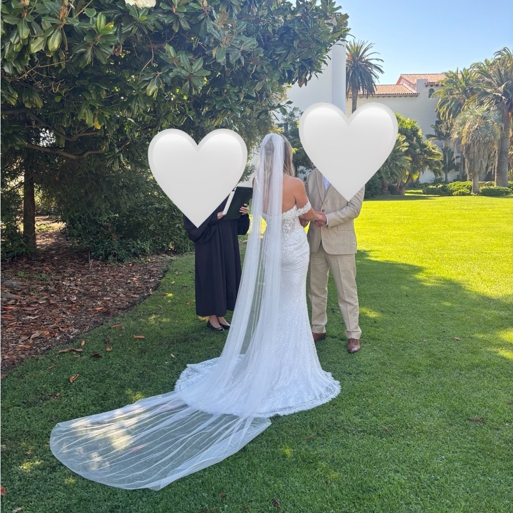 Elegant White wedding veil